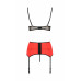 Passion | КОМПЛЕКТ НИЖНЕГО БЕЛЬЯ FEMMINA SET red S/M - Passion. Цена 2 450 грн. Фото: 3