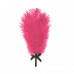 RIANNE S | Романтический набор RS - Essentials - Kit d'Amour Zwart/Roze. Ціна 1150 грн. Фото: 2