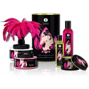 Shunga | Подарунковий Набір Shunga Romance Cosmetic Kit. Ціна: 4499 грн