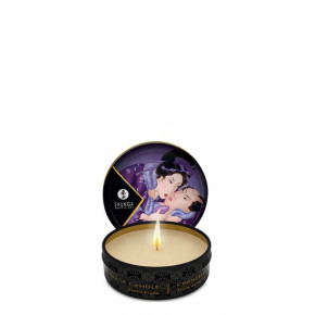 Shunga | Массажная свеча MASSAGE CANDLE EXOTIC FRUITS, 30 мл. Цена: 365 грн