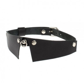 sLash | Нашийник Strict Style, Smooth Black. Ціна: 344 грн