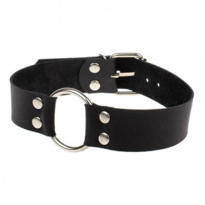 sLash | Нашийник Passion, Smooth Black. Ціна: 463 грн