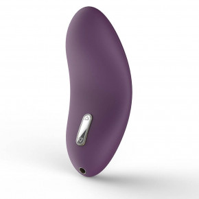 SVAKOM | Вибратор Svakom Echo Violet. Цена: 3 079 грн