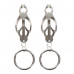 TABOOM | Зажимы-бабочки с кольцом Butterfly Clamps With Ring, серебристые Taboom. Ціна 585 грн. Фото: 1