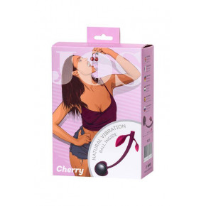 Toyfa | Toyfa Вагінальна кулька Wild cherry JOS pleasure ball with a ball. Ціна: 398 грн