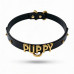 UPKO | Чокер с надписью PUPPY от UPKO из итальянской кожи, чёрный с золотой фурнитурой. Ціна 5500 грн. Фото: 2