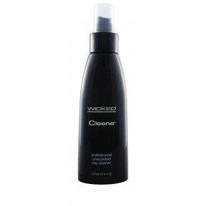 Wicked Sensual Care | Очищувач WICKED ANTI-BACTERIAL TOY CLEANER 120ML. Ціна: 807 грн