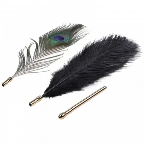 LOCKINK | Набор из 2 перышек ,Natural Peacock Flirting Feather Tickler. Цена: 960 грн