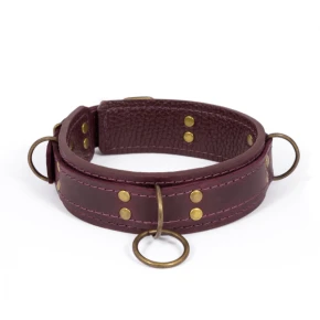 LOVECRAFT | Нашийник Розмір S Фіолетовий. Ціна: 1499 грн