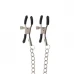 TABOOM | Зажимы на соски Adjustable Clamps with Chain. Цена 595 грн. Фото: 4